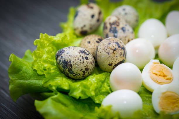 Why Choose Zentora Quail Eggs